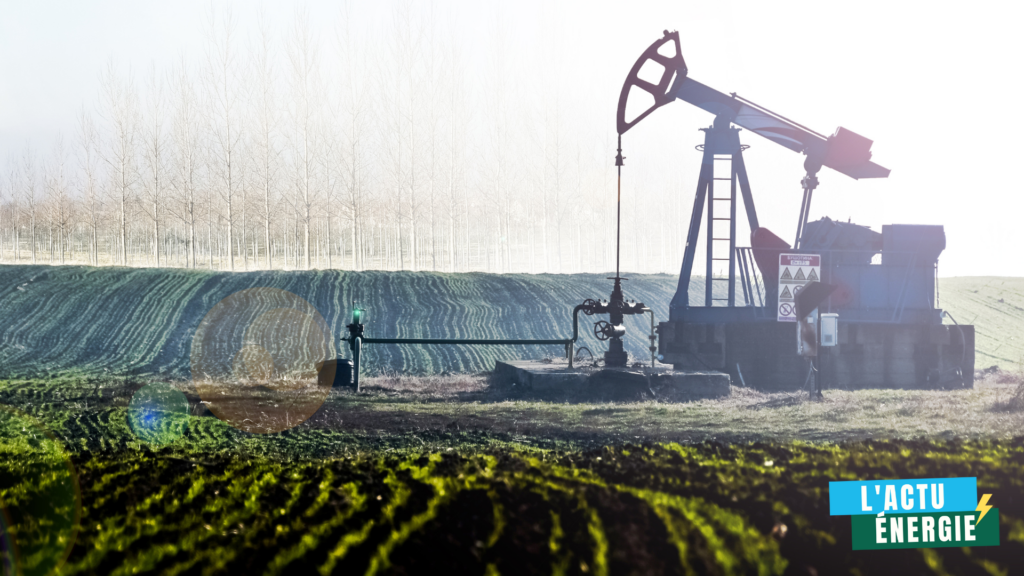 Au cœur des champs cultivés, un chevalet de pompage extrait du pétrole, symbole de la production d’énergie fossile. L’image met en lumière le contraste entre ressources naturelles et besoins énergétiques, en pleine transition vers des modèles plus durables.