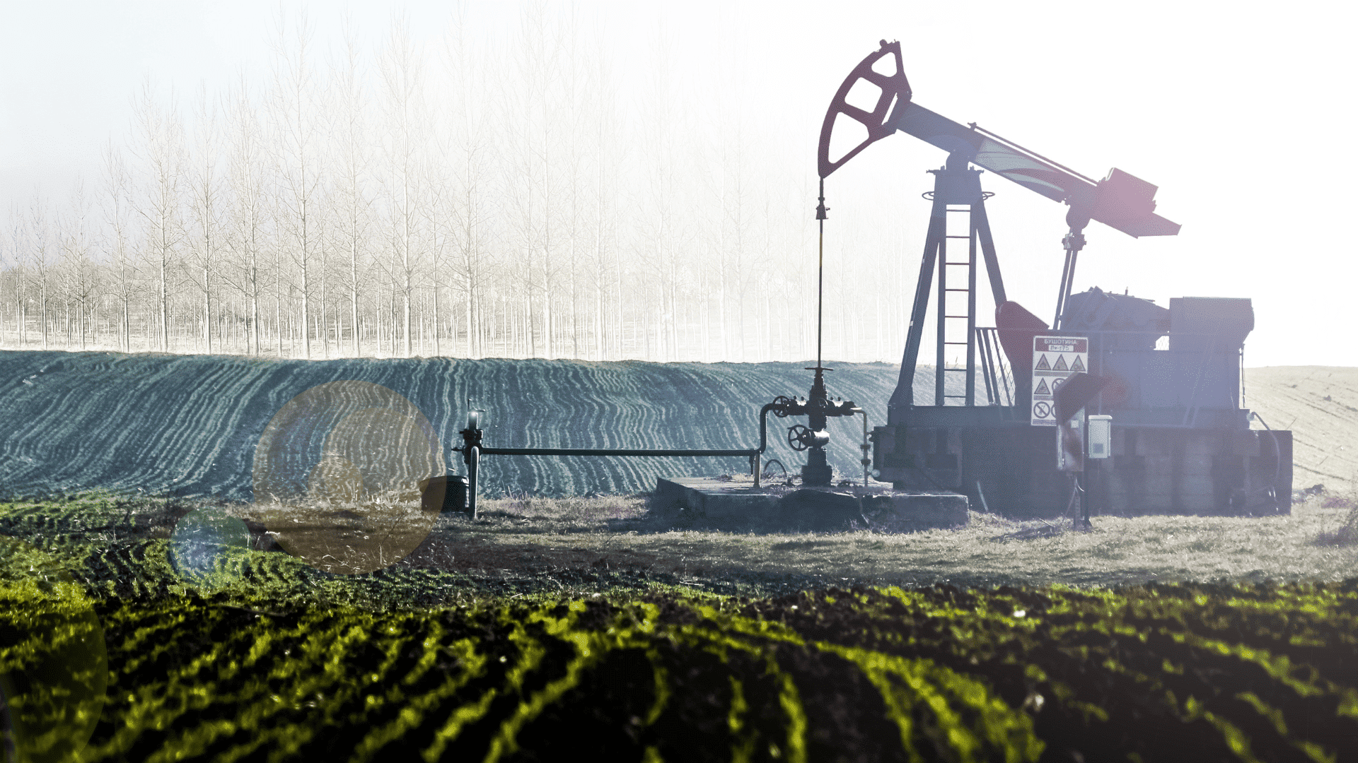 Au cœur des champs cultivés, un chevalet de pompage extrait du pétrole, symbole de la production d’énergie fossile. L’image met en lumière le contraste entre ressources naturelles et besoins énergétiques, en pleine transition vers des modèles plus durables.
