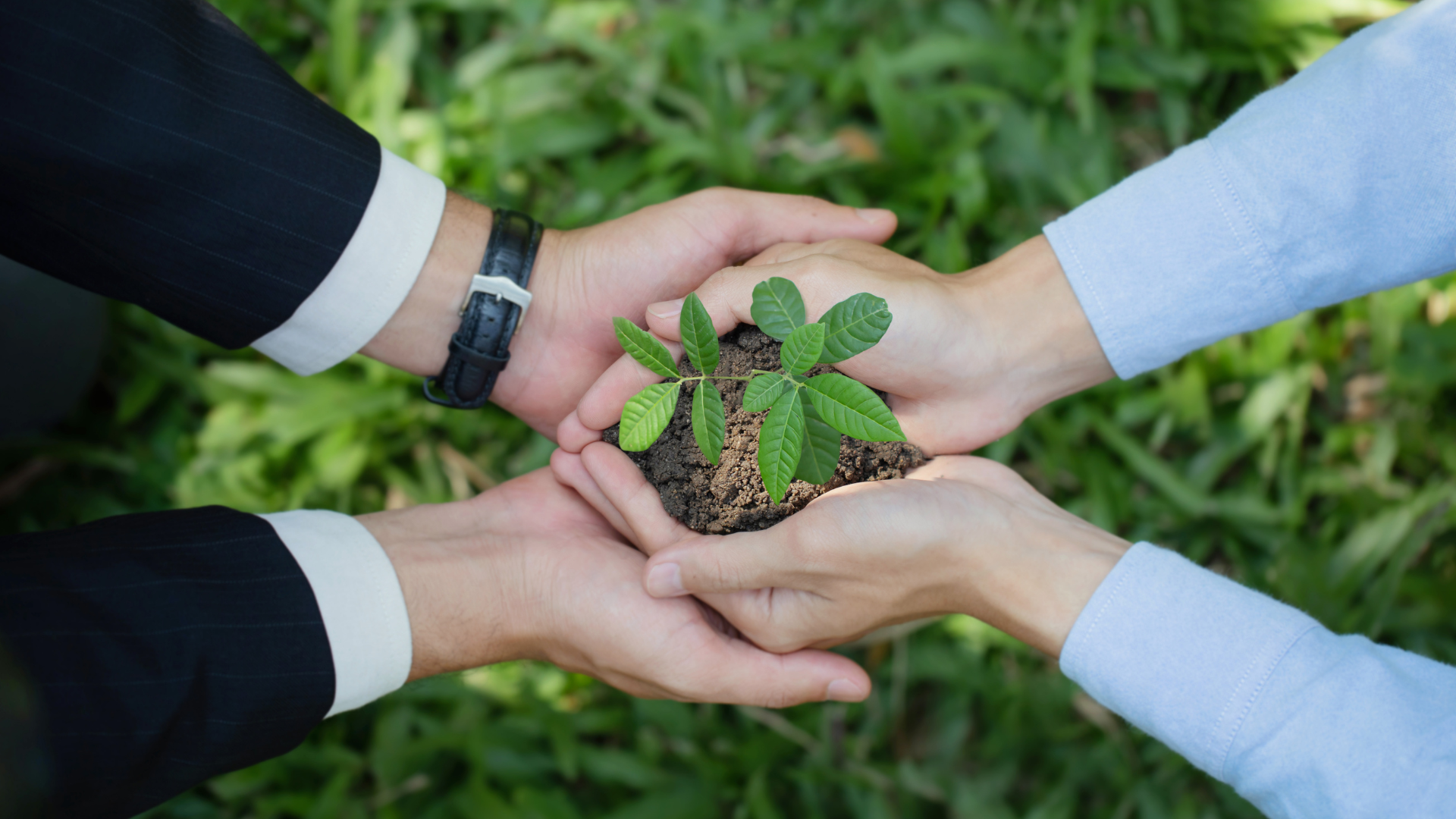 Neutralité carbone : construire un plan crédible en entreprise