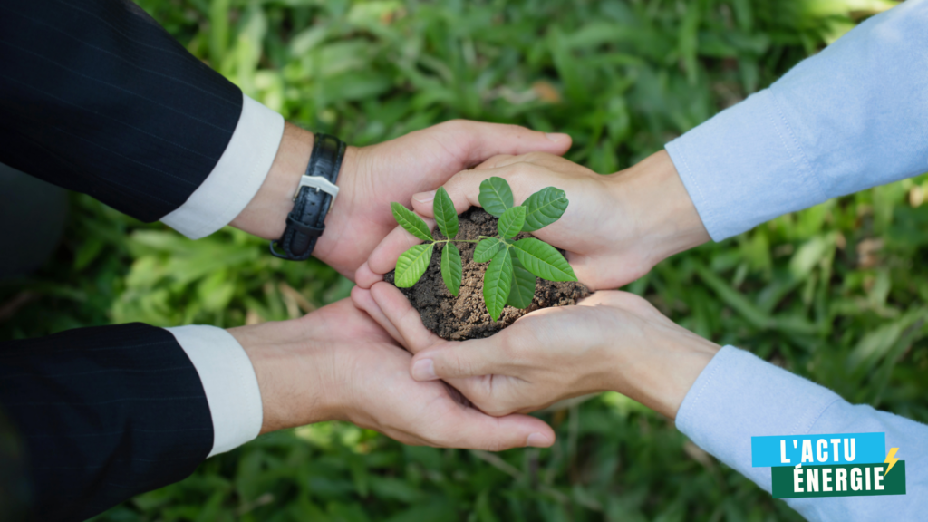 Mains d’entrepreneurs tenant une jeune pousse, symbole d’engagement pour la neutralité carbone en entreprise