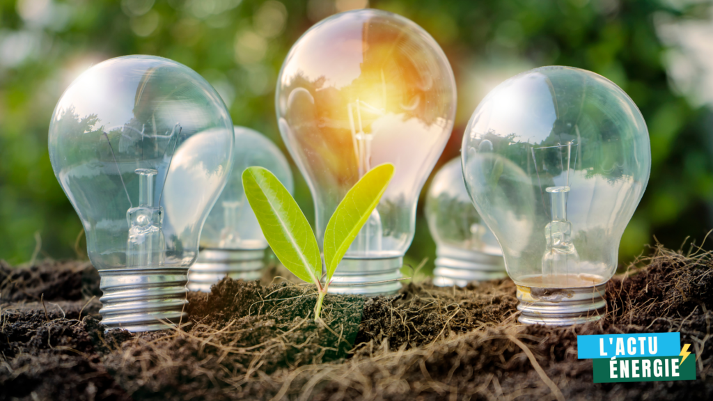 Électricité verte entreprise : collaboration pour une transition énergétique durable