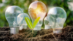 Électricité verte entreprise : collaboration pour une transition énergétique durable