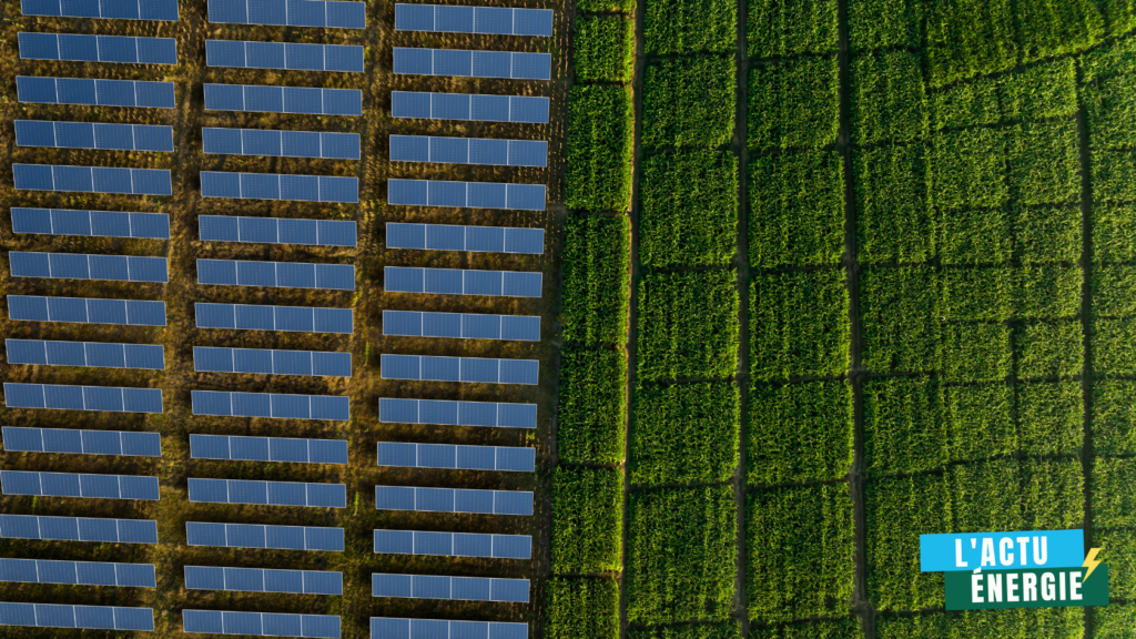 agrivoltaïsme