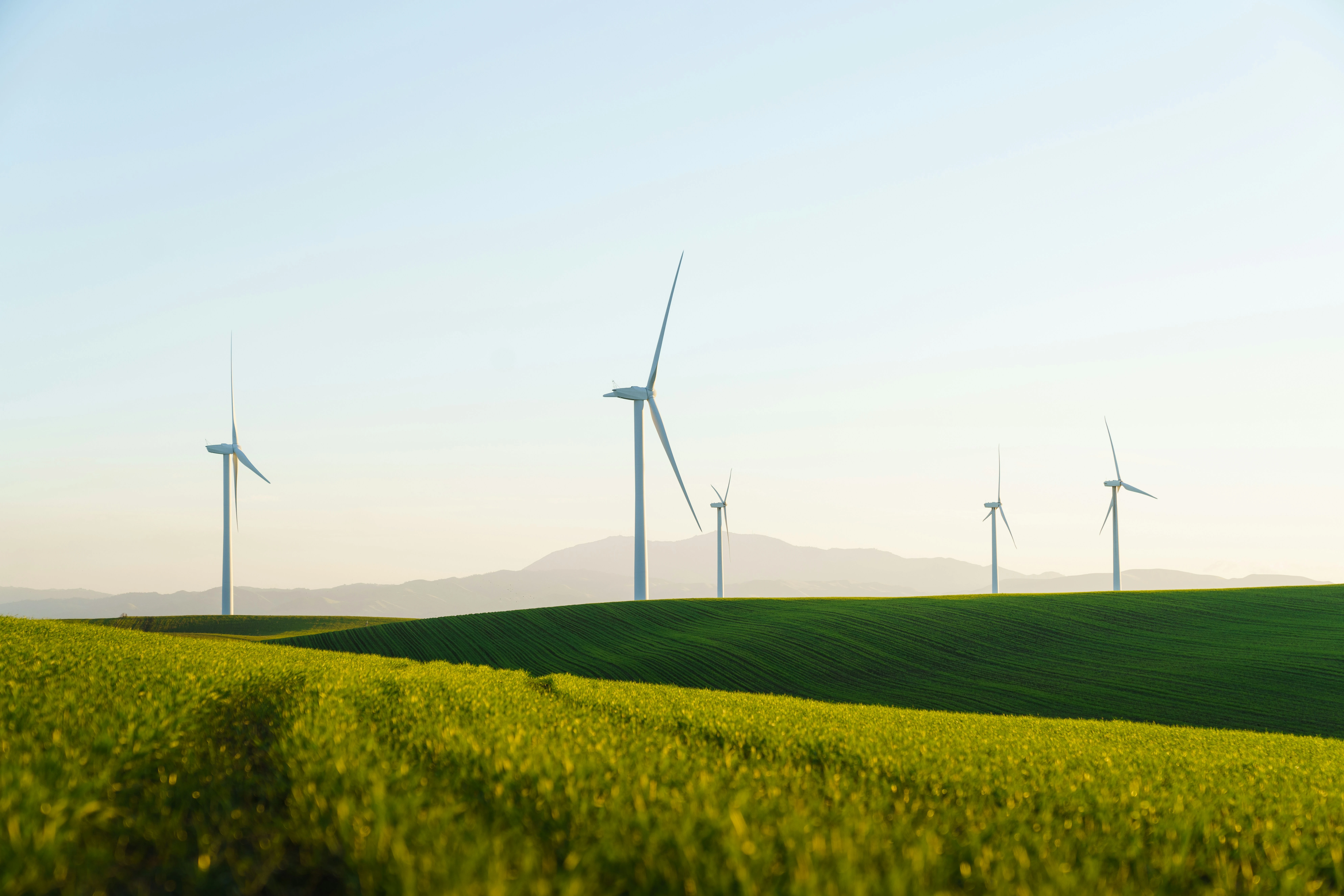 éoliennes dans un vaste champs